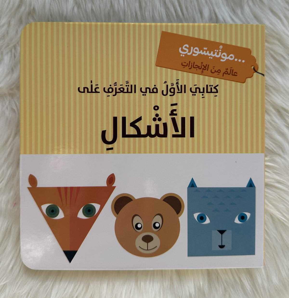 كتابي الأول في التعرف على الأشكال _مونتيسوري